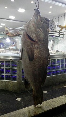 Peixes
